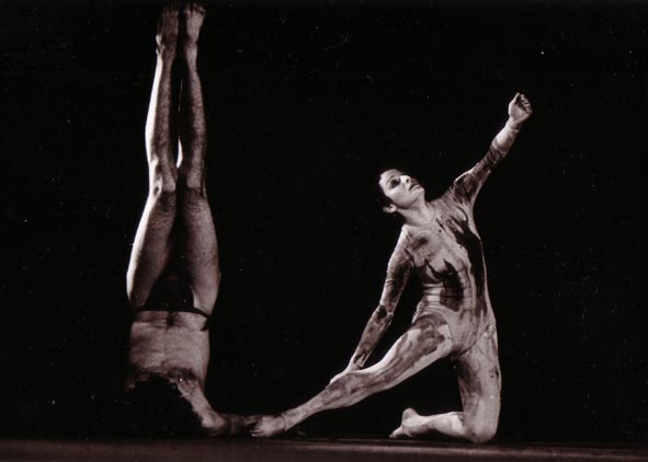 Ballet Contemporani de Barcelona